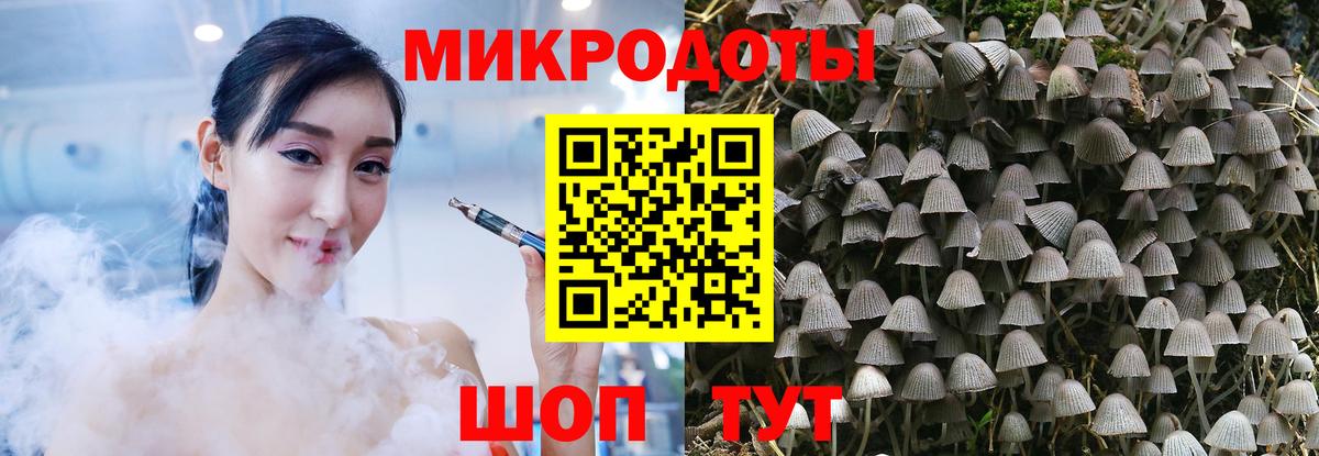 Александров  Галлюциногенные грибы MAGIC MUSHROOMS  Псилоцибиновые грибы Psilocybe  Вход с VPN 